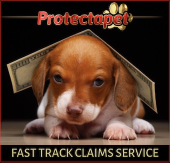 Protectapets Fast Online Claims Service for Pet Healthcare Plans
